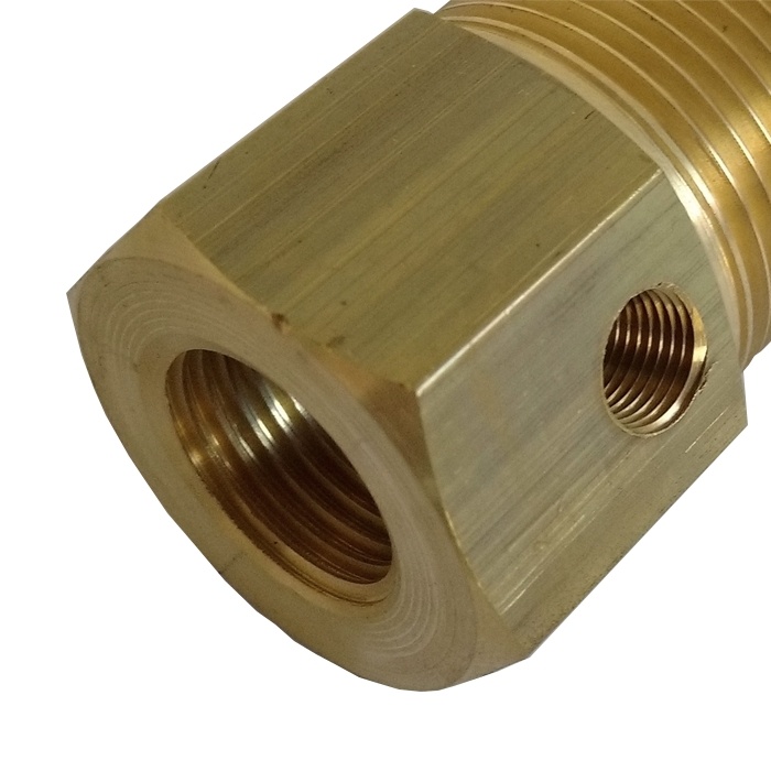 Válvula de retenção rosca 1