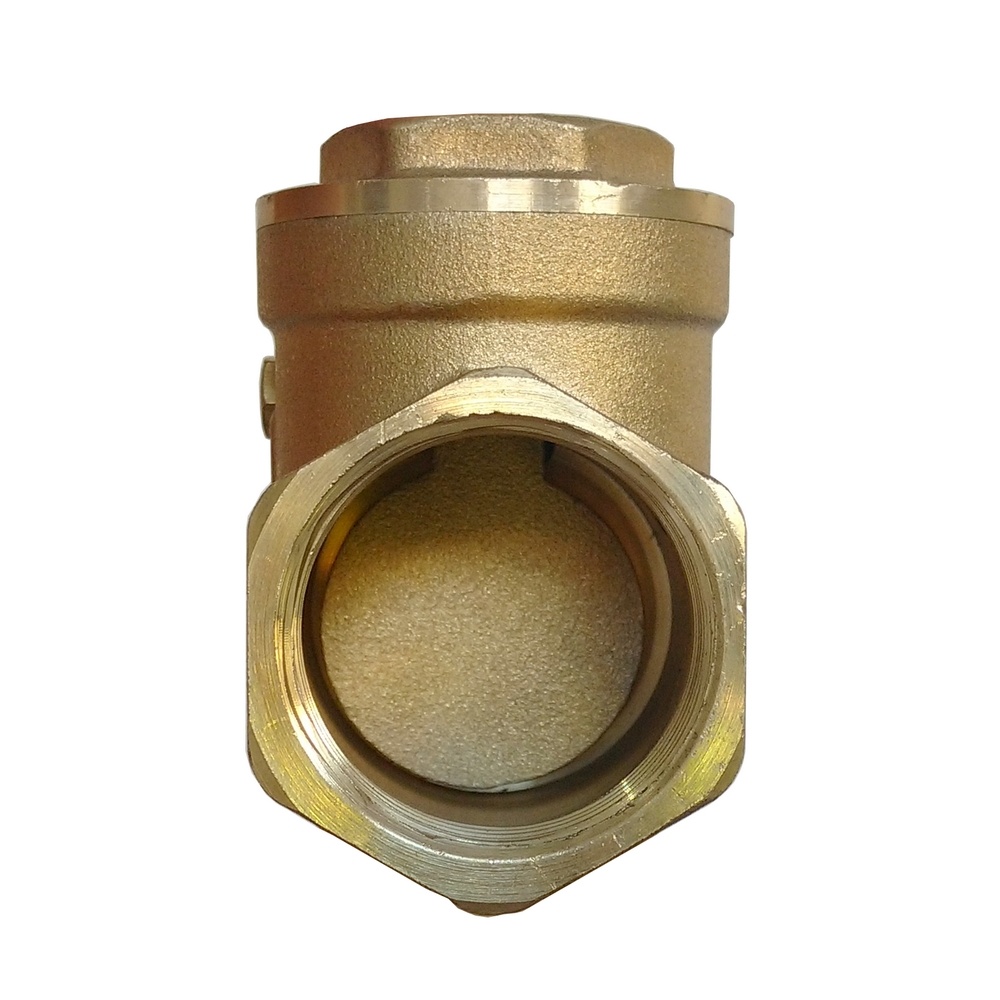 Válvula De Retenção Portinhola 1/2