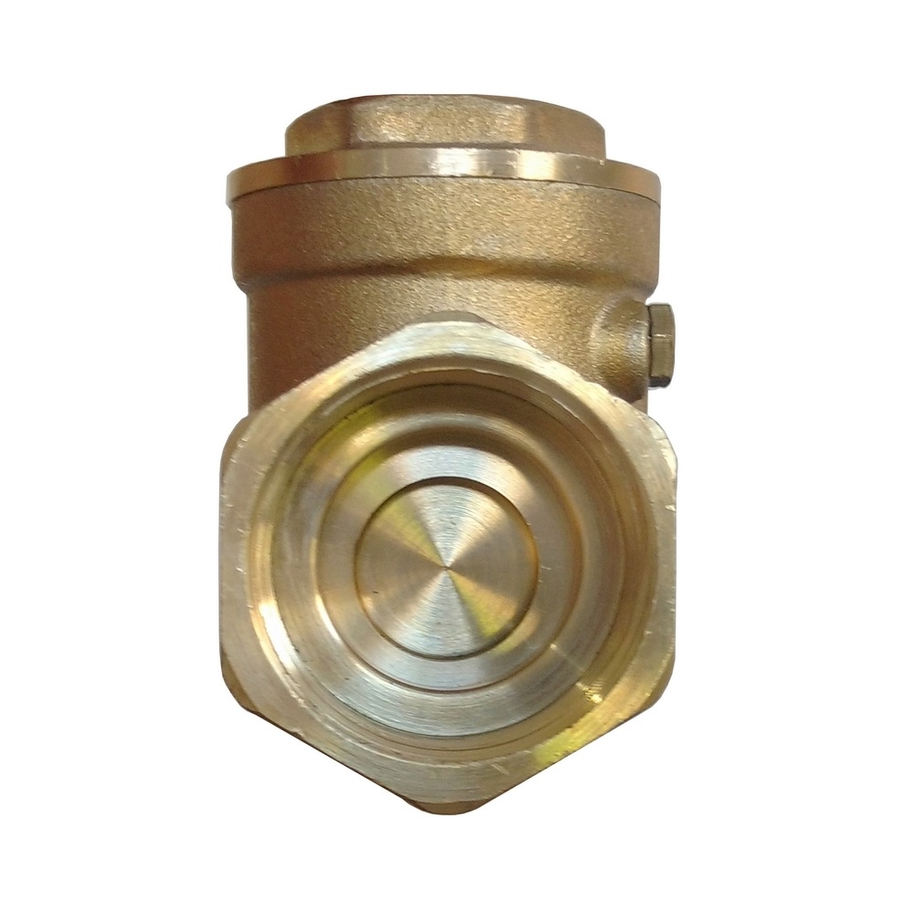 Válvula De Retenção Portinhola 1/2